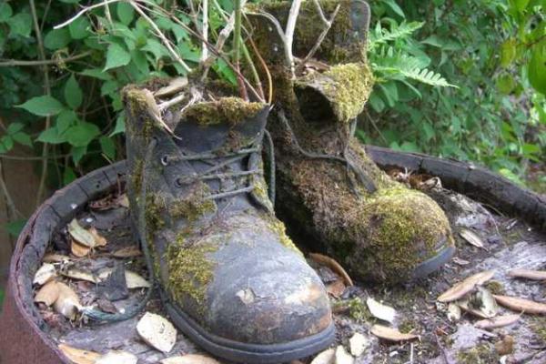 Затерянные сады Хэлиган: известнейший парк Великобритании