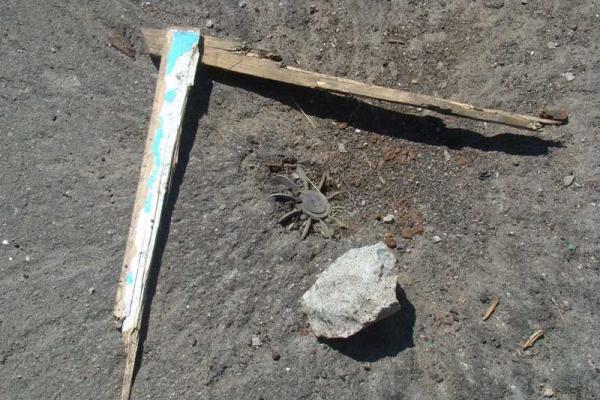 Поселок-призрак Широкино: разруха, безлюдье, смертоносные "сюрпризы" под ногами Поселок-призрак Широкино: разруха, безлюдье, смертоносные "сюрпризы" под ногами