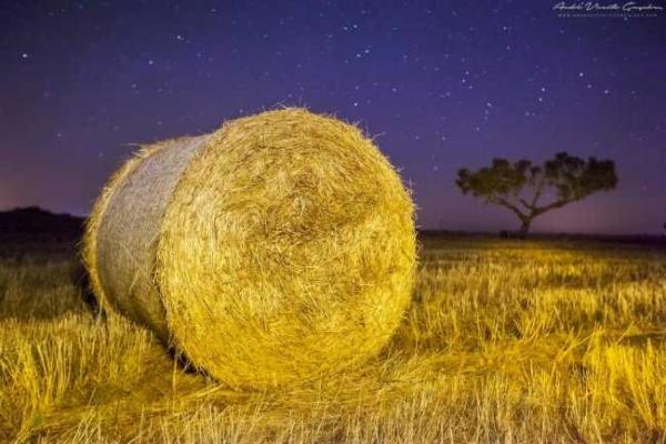 Уникальный заповедник звездного неба находится в Португалии