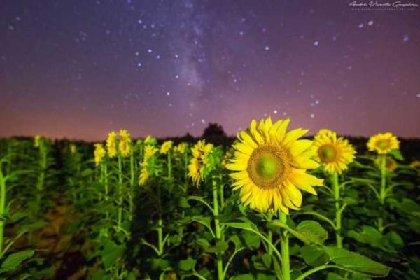 Уникальный заповедник звездного неба находится в Португалии