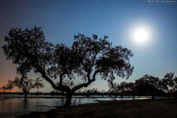 Уникальный заповедник звездного неба находится в Португалии