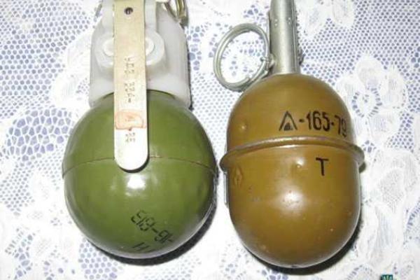 На Донетчине бдительные соседи отправили за решетку обладателя небольшого арсенала боеприпасов