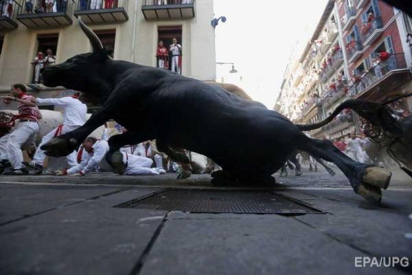 Фоторепортаж: забег с быками на фестивале в Испании Фоторепортаж: забег с быками на фестивале в Испании