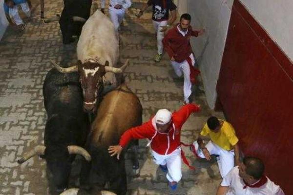 Фоторепортаж: забег с быками на фестивале в Испании Фоторепортаж: забег с быками на фестивале в Испании