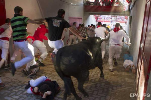 Фоторепортаж: забег с быками на фестивале в Испании Фоторепортаж: забег с быками на фестивале в Испании