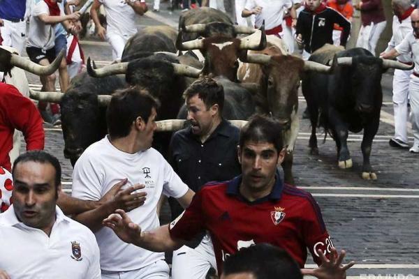 Фоторепортаж: забег с быками на фестивале в Испании Фоторепортаж: забег с быками на фестивале в Испании