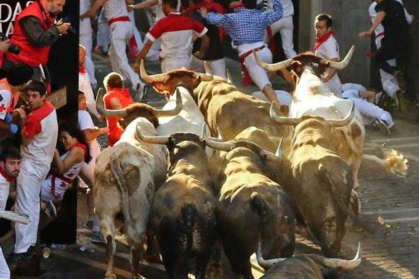Фоторепортаж: забег с быками на фестивале в Испании Фоторепортаж: забег с быками на фестивале в Испании