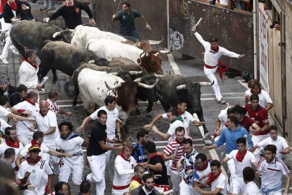 Фоторепортаж: забег с быками на фестивале в Испании Фоторепортаж: забег с быками на фестивале в Испании