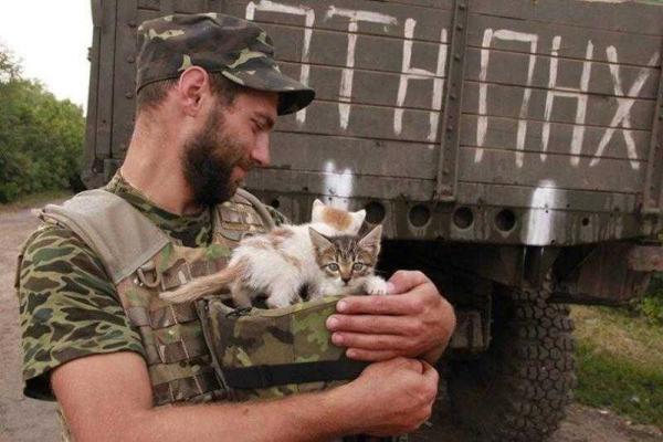 Фотоальбом: В зоне АТО с украинскими бойцами живут и "воюют" четвероногие друзья