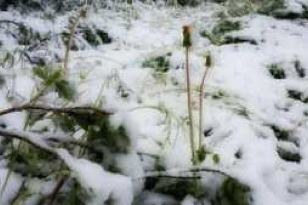 Завтра в российской Воркуте стартует отопительный сезон: уже выпал снег