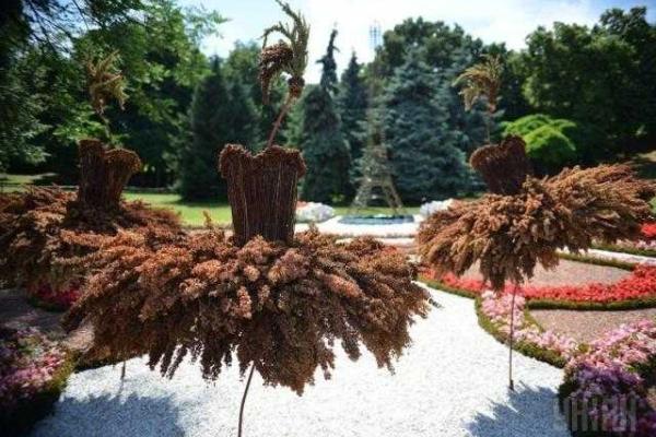 В столице стартовал флористический фестиваль В столице стартовал флористический фестиваль