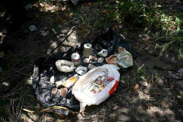 СБУ: В Киеве обнаружен схрон с боеприпасами и взрывчаткой СБУ: В Киеве обнаружен схрон с боеприпасами и взрывчаткой