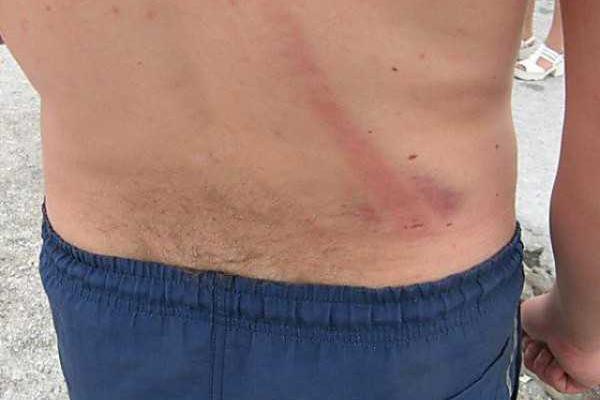 В открытом письме украинские ультрас призвали к ответу министра внутренних дел Авакова В открытом письме украинские ультрас призвали к ответу министра внутренних дел Авакова