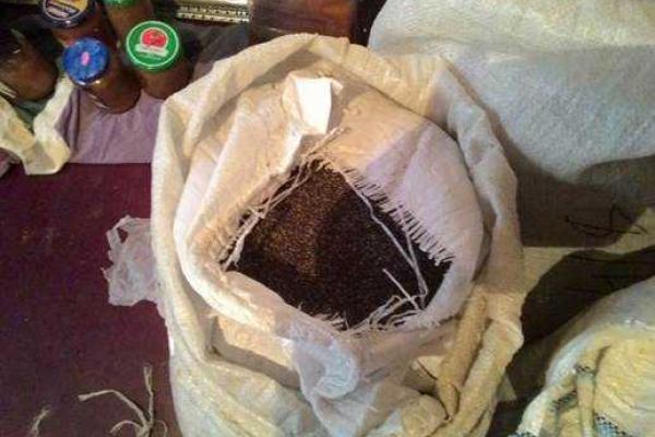 В Краматорске сотрудники СБУ прекратили деятельность нарколаборатории В Краматорске сотрудники СБУ прекратили деятельность нарколаборатории