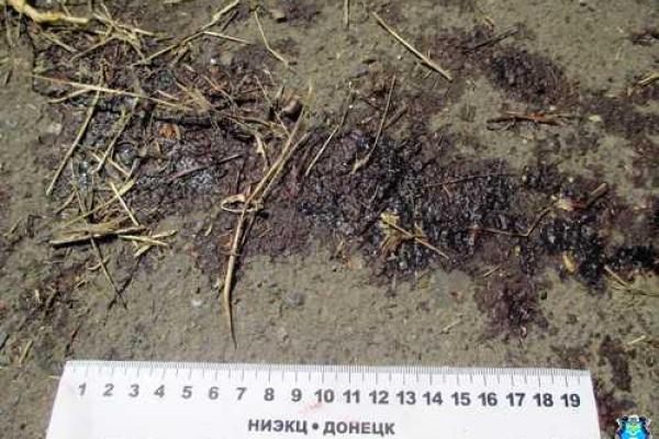 Банда жестоких и циничных подростков, промышляющая грабежами и убийствами, задержана в Мариуполе Банда жестоких и циничных подростков, промышляющая грабежами и убийствами, задержана в Мариуполе