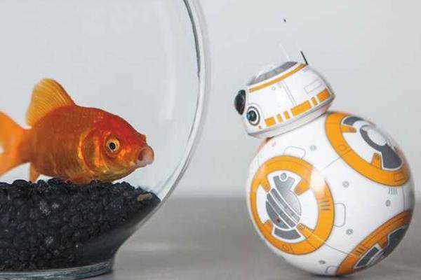 В Украине поступили в продажу управляемые дроиды Sphero BB-8 