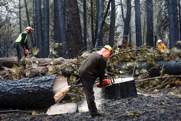 Пожары в Калифорнии принесли колоссальный ущерб, пять человек погибли Пожары в Калифорнии принесли колоссальный ущерб, пять человек погибли