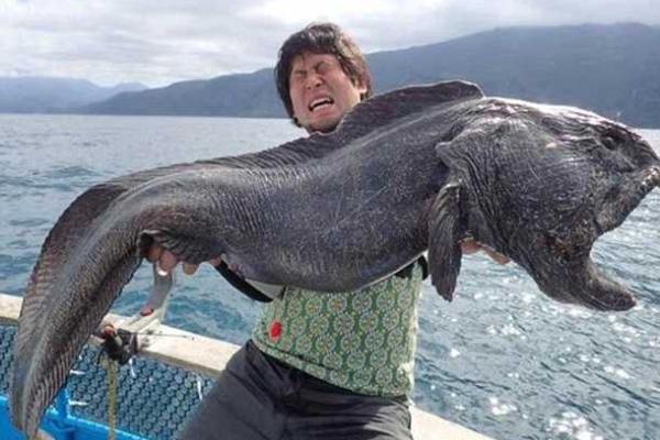 ​Невиданный улов: японский рыбак поймал рыбу-мутанта у побережья Фукусимы