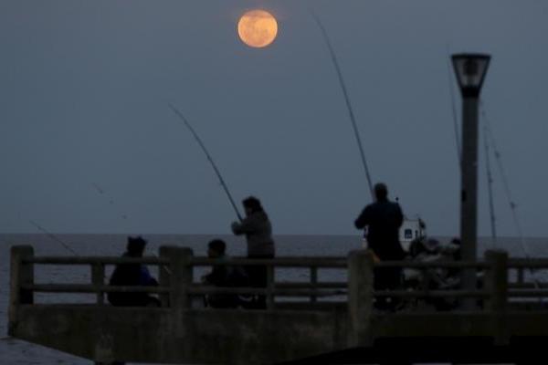 Фоторепортаж: необычное явление природы - "Кровавая Луна"