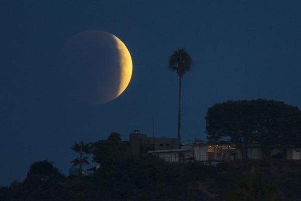 Фоторепортаж: необычное явление природы - "Кровавая Луна"