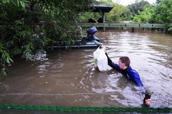 В российском Приморье трагедия: из-за наводнения в зоопарке утонули десятки животных