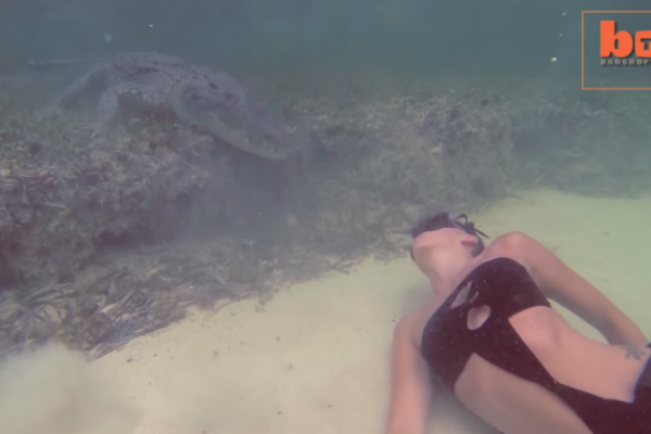 Рискованная фотосессия: модель снималась под водой с крокодилом