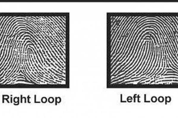 ​Американские ученые научились определять расу по отпечатку пальца