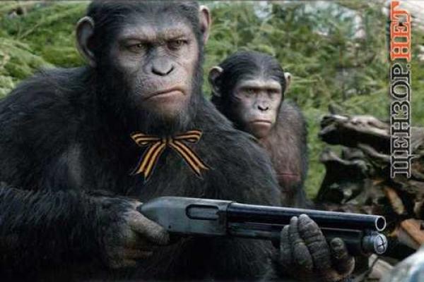 Переворот в "ЛНР": сеть наводнили фотожабы о событиях в "процветающей республике" Переворот в "ЛНР": сеть наводнили фотожабы о событиях в "процветающей республике"