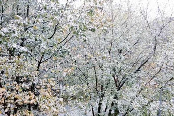 Осенний сюрприз для москвичей: город засыпало снегом Осенний сюрприз для москвичей: город засыпало снегом