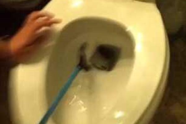 Бессмысленный флешмоб бьет рекорды популярности среди пользователей Сети