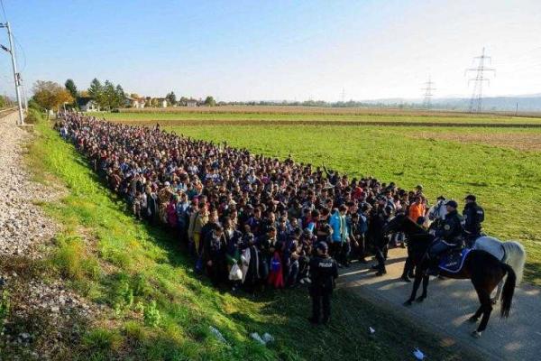 Полицейские в Словении с вертолета засняли огромный поток беженцев