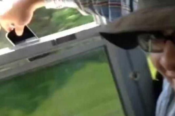 Для любителей экстрима в соцсетях запущен новый онлайн-флешмоб