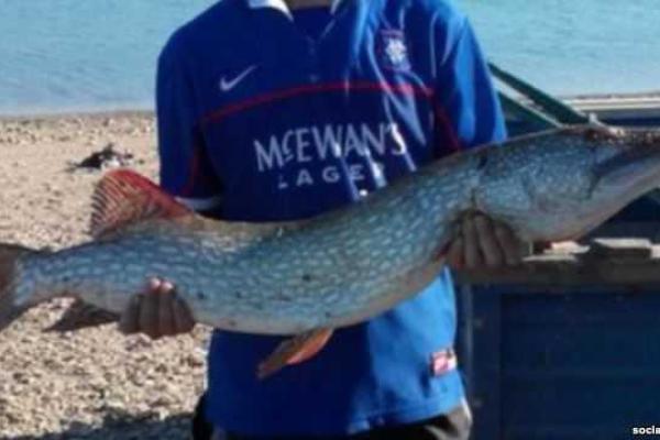 Одно из крупнейших водохранилищ Крыма продолжает стремительно мельчать