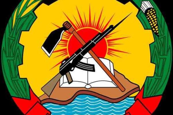 Гербы африканских стран вдохновили "Союз добровольцев Донбасса" на утверждение своего "уникального" герба