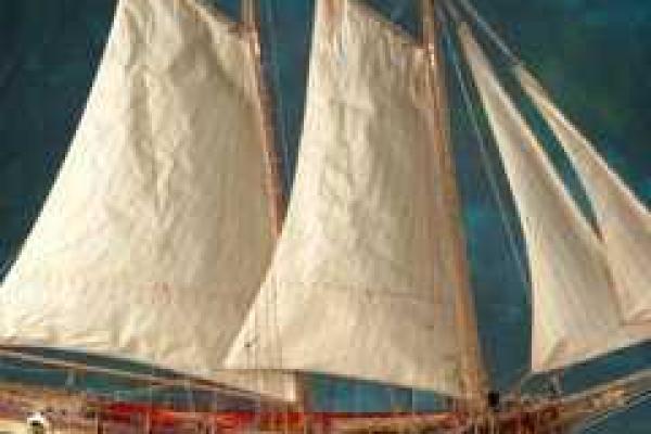 Исследователи и дайверы обнаружили у берегов Швеции затонувшую яхту Петра І