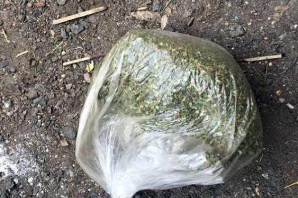 За изнасилование несовершеннолетней падчерицы задержан 32-летний житель Волновахи