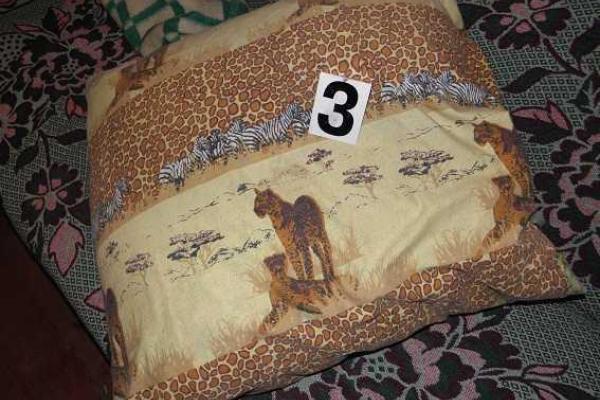 В Киеве психически нездоровая дочь задушила мать-пьяницу В Киеве психически нездоровая дочь задушила мать-пьяницу