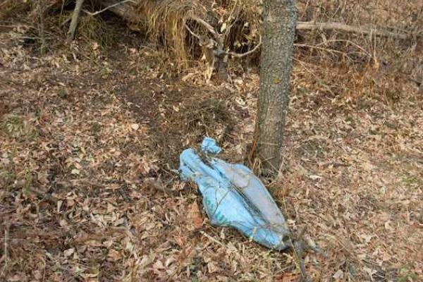 На Донетчине саперы взорвали обнаруженный в лесопосадке схрон с боеприпасами