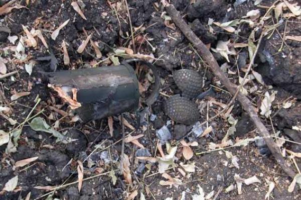 На Донетчине саперы взорвали обнаруженный в лесопосадке схрон с боеприпасами