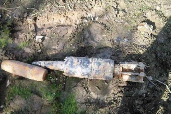 На Житомирщине грибники обнаружили полсотни старых снарядов в высохшем болоте На Житомирщине грибники обнаружили полсотни старых снарядов в высохшем болоте