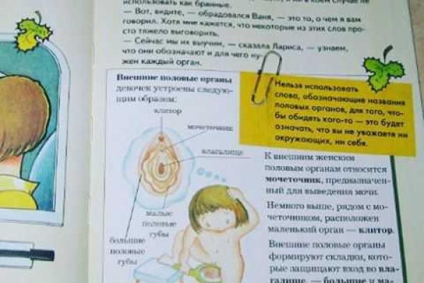 Елена Ваенга отборным матом прошлась по книжкам о половом воспитании для малышей