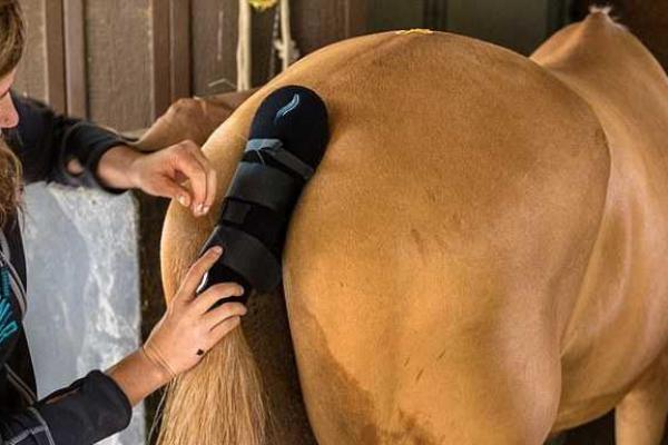 Для безопасной ночной езды на лошадях придумали светодиодное украшение для хвоста