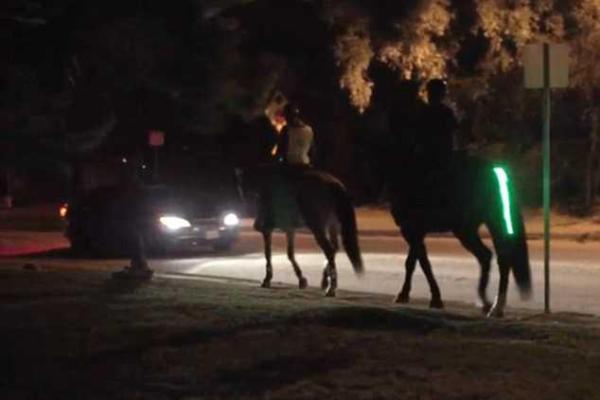 Для безопасной ночной езды на лошадях придумали светодиодное украшение для хвоста