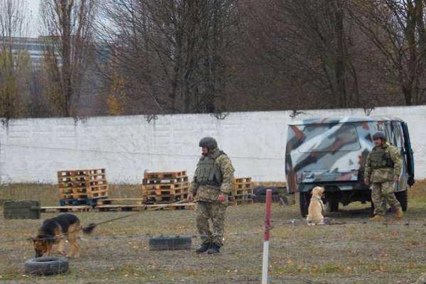 Минобороны: британские военные будут обучать саперов ВСУ 