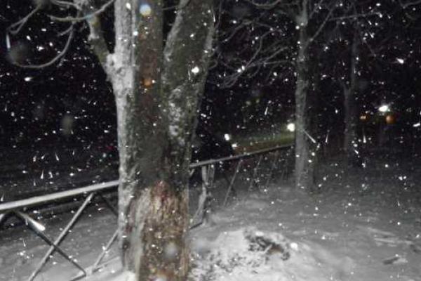 На Донбасс пришла зима: снегом завалило Волноваху