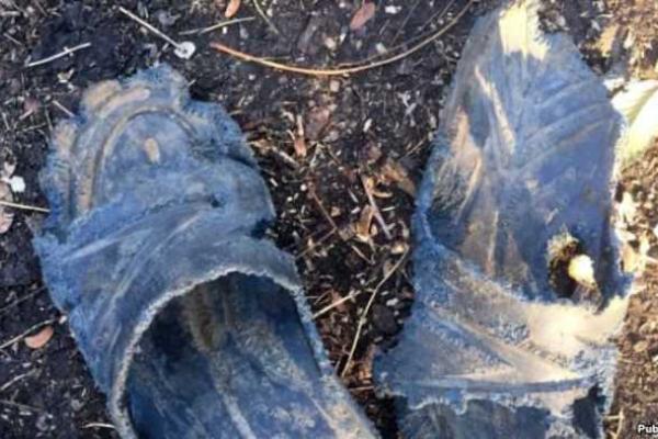 Позиции сил АТО атакует новый враг: на передовой - взрыв популяции грызунов