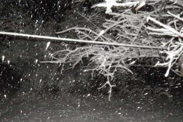 На Донбасс пришла зима: снегом завалило Волноваху