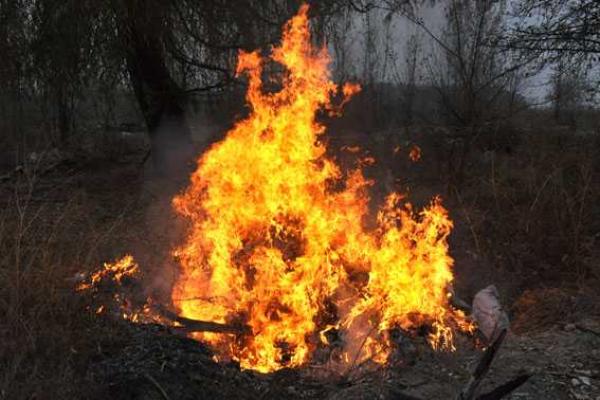 Полтавские правоохранители соорудили "дорогой" костер из наркотиков Полтавские правоохранители соорудили "дорогой" костер из наркотиков