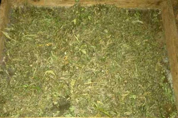 Житель Дзержинска был задержан за хранение наркотического сырья Житель Дзержинска был задержан за хранение наркотического сырья