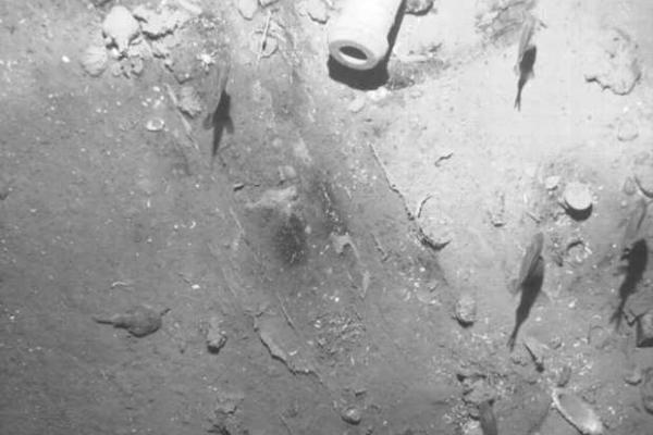 В Сети появились снимки останков испанского галеона, лежащих на огромной глубине с сокровищами В Сети появились снимки останков испанского галеона, лежащих на огромной глубине с сокровищами